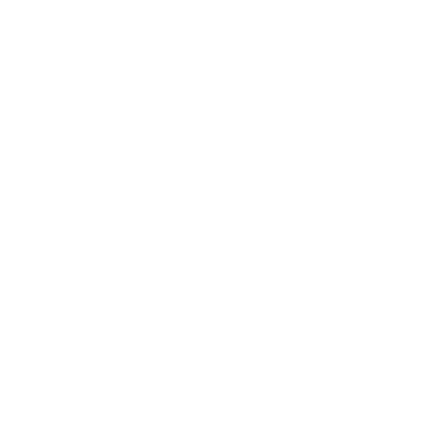 Botanical illustration of arctic blackcurrant fruits.